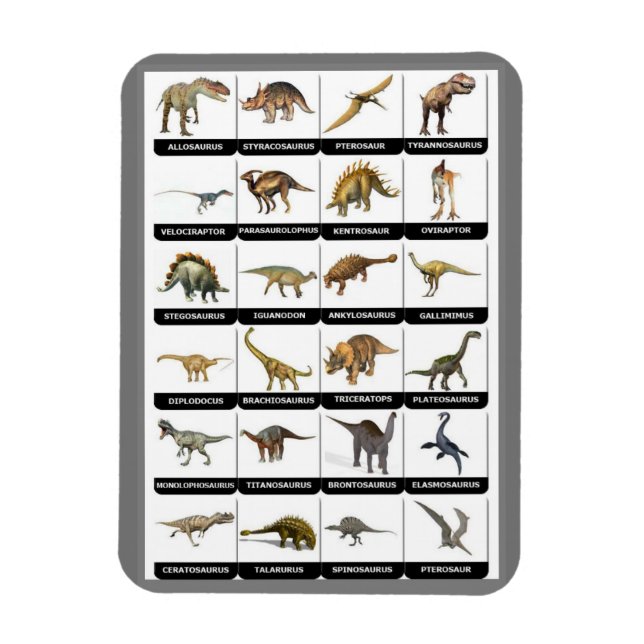 Dinosaurs Chart  Magnet (Vertical)