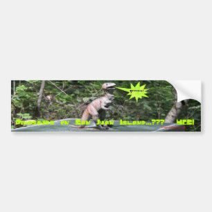Dinosaurs on San Juan Island Bumper Sticker