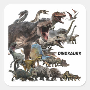 Dinosaurs  square sticker