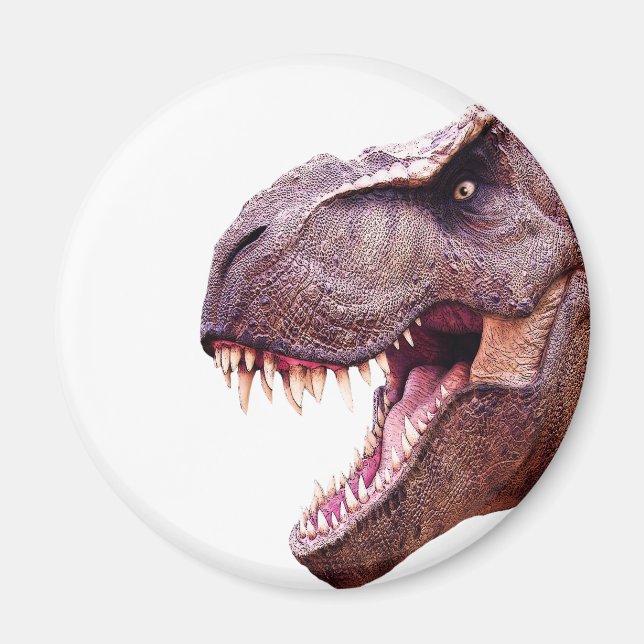 Dinosaurs T-Rex Magnet (Front)