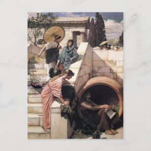 Diogenes Postcard