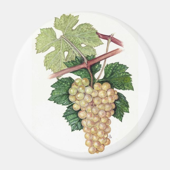 Dionysus & Rhea Collection Magnet (Front)