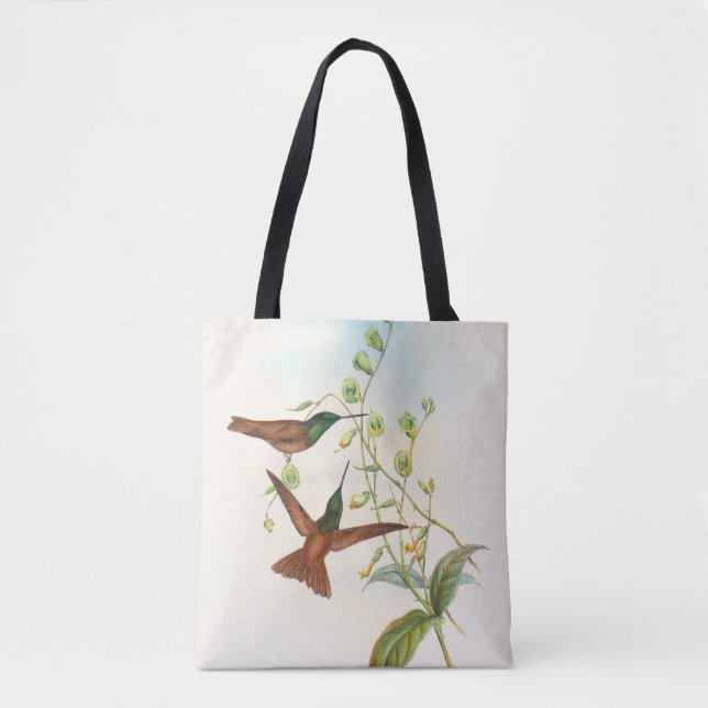 Diphogena Aurora Gould's Rainbow by John Gould     Tote Bag (Front)