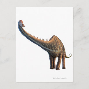 Diplodocus Postcard