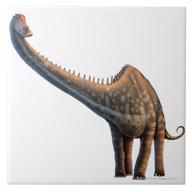 Diplodocus Tile (Front)