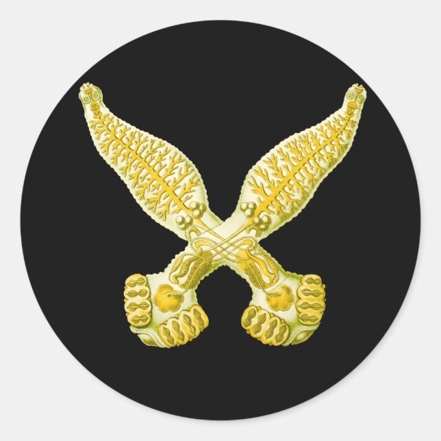 Diplozoon Classic Round Sticker (Front)
