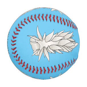 Dirona albolineata nudibranch cartoon illustration baseball
