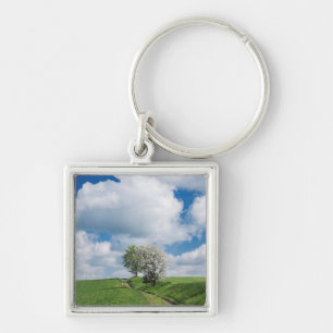 Dirt Road and Apple Trees Key Ring