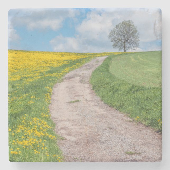 Dirt Road and Tree Stone Coaster (Front)