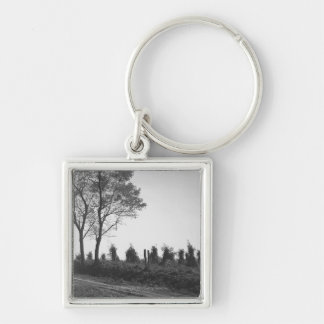 Dirt road by field B&W Key Ring