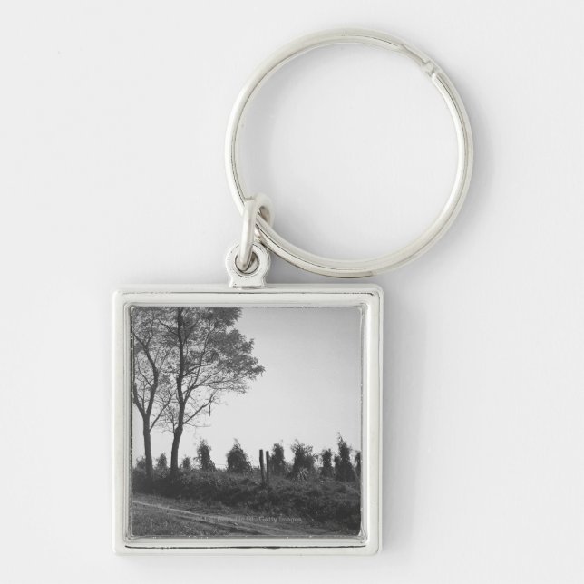 Dirt road by field B&W Key Ring (Front)