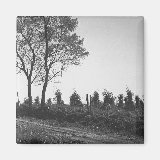 Dirt road by field B&W Magnet (Front)