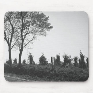 Dirt road by field B&W Mouse Mat