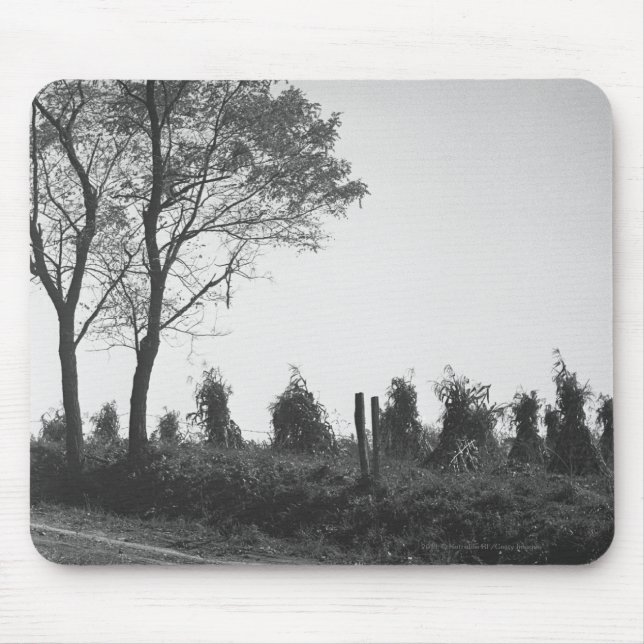 Dirt road by field B&W Mouse Mat (Front)