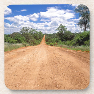 Dirt Road, Kruger National Park, Mpumalanga Coaster