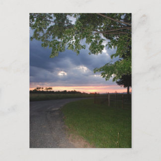 Dirt Road Postcard