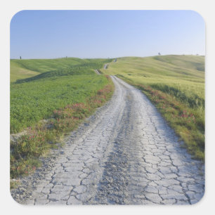 Dirt Road through Fields and Hills, Val d'Orcia, Square Sticker