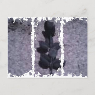 Dirty 3Tall Boxes Postcard