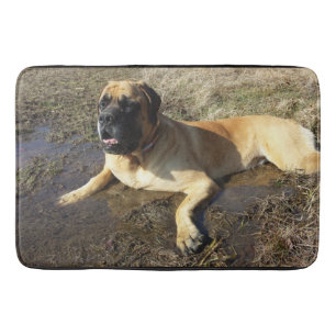Dirty Adorable English Mastiff bath mat
