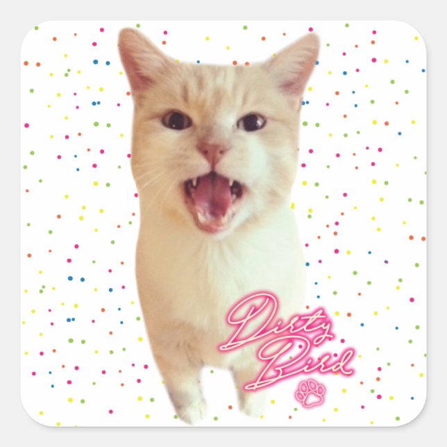 Dirty Bird Autographed Sticker (Front)