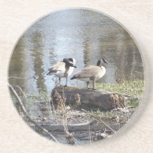 Dirty Bird Coaster
