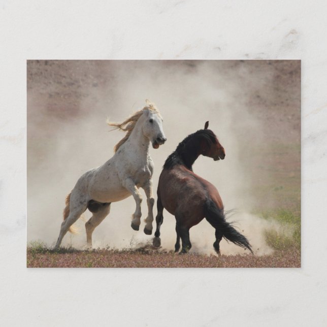 Dirty Business Postcard (Front)