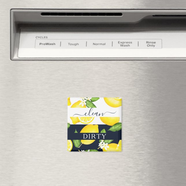Dirty Clean Botanical Lemon Magnet (In Situ (Dishwasher))