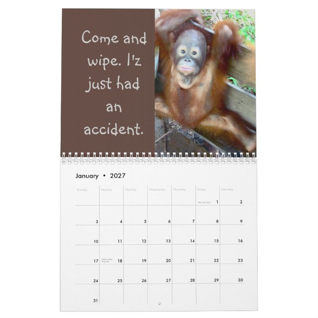 Dirty Diapers and Baby Ape Bloopers Calendar (Jan 2027)