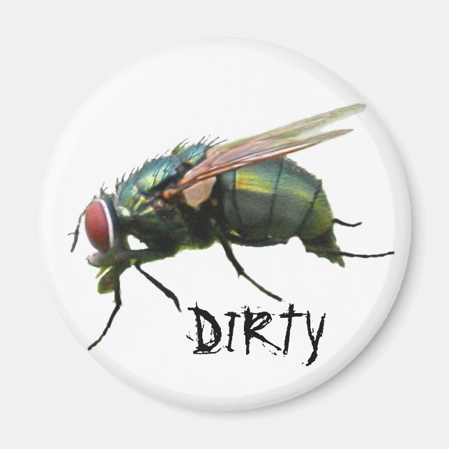 "DIRTY" Dishwasher Magnet (Front)