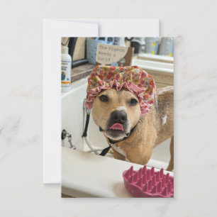 Dirty Dog Puppy Bath Time funny costume notecard