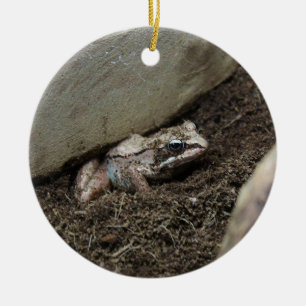 Dirty Frog Ceramic Tree Decoration