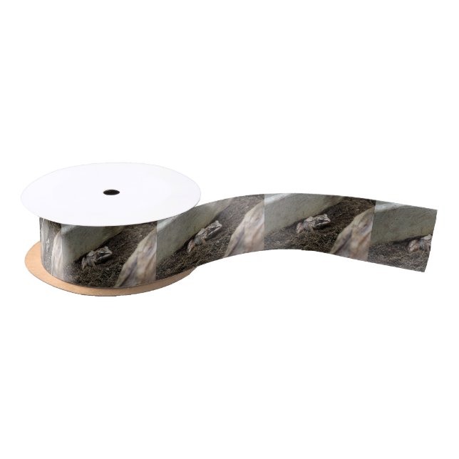 Dirty Frog Satin Ribbon (Spool)
