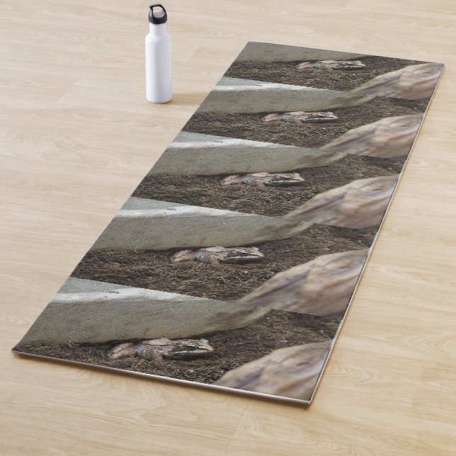 Dirty Frog Yoga Mat (In Situ)