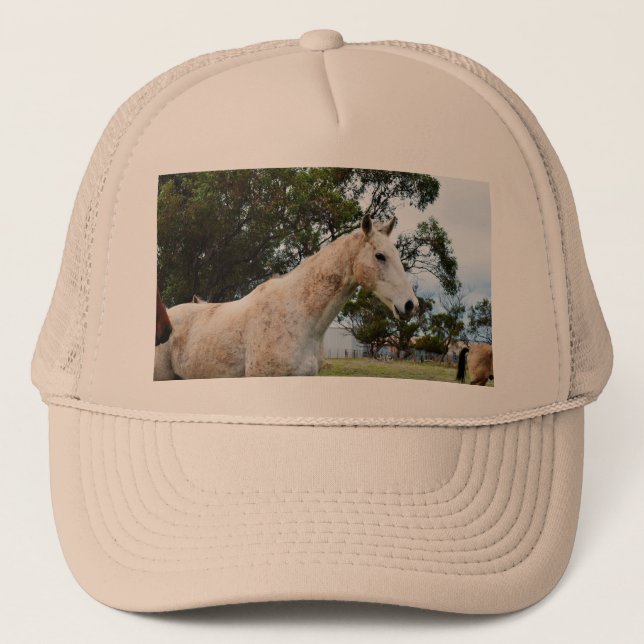 Dirty Fun: Muddy Big White Horse, Trucker Hat (Front)