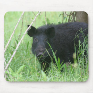 Dirty Nose Mouse Mat