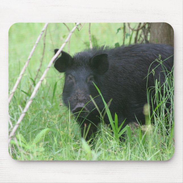 Dirty Nose Mouse Mat (Front)