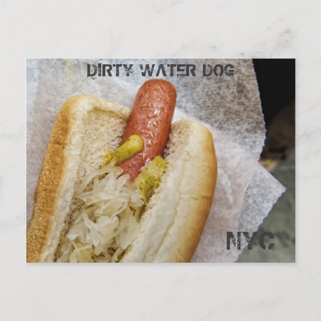 Dirty Water Dog NYC Postcard (Front)
