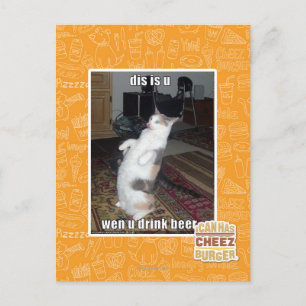 dis is u postcard