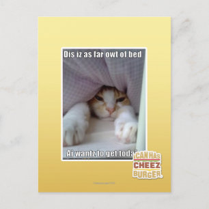 Dis iz as far owt of bed.. postcard