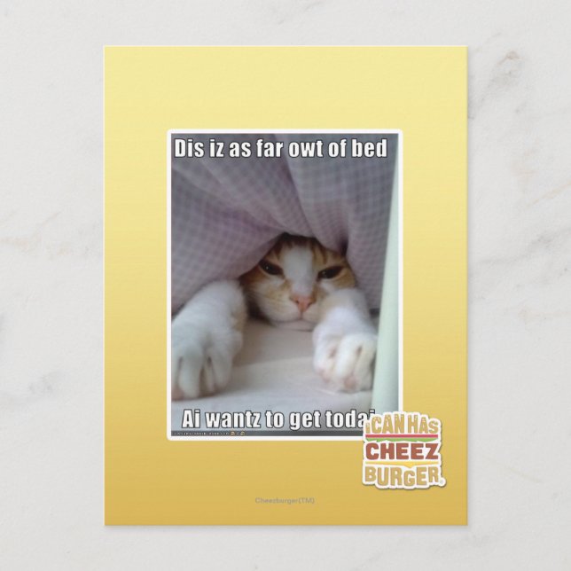 Dis iz as far owt of bed.. postcard (Front)