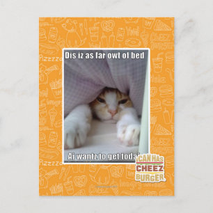 Dis iz as far owt of bed.. postcard
