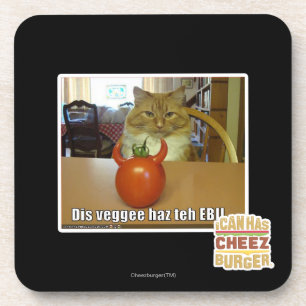 Dis veggee haz the EBIL Coaster