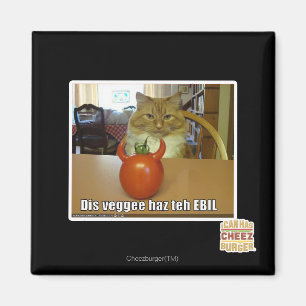 Dis veggee haz the EBIL Magnet