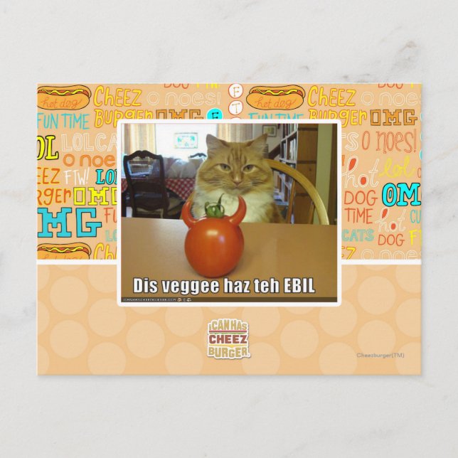Dis veggee haz the EBIL Postcard (Front)