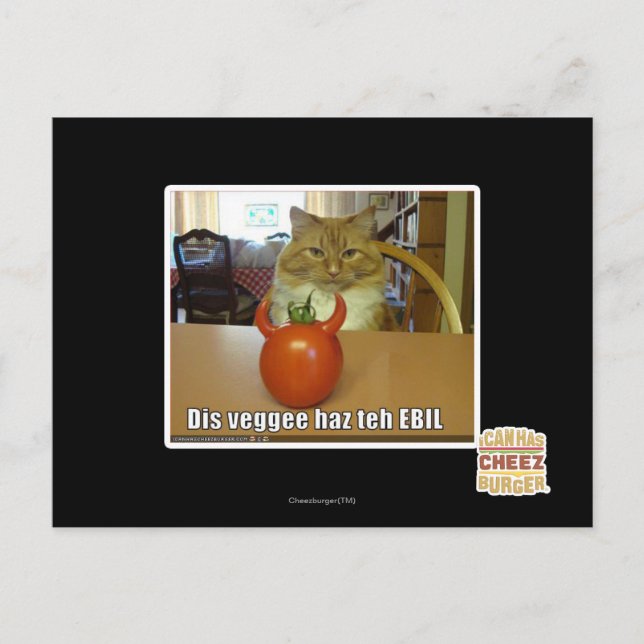 Dis veggee haz the EBIL Postcard (Front)