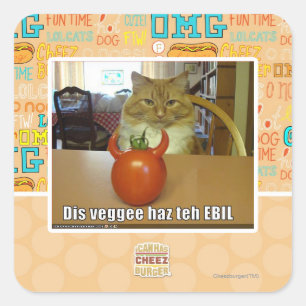 Dis veggee haz the EBIL Square Sticker