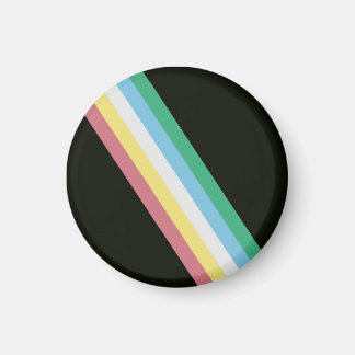 Disability Pride Flag Magnet