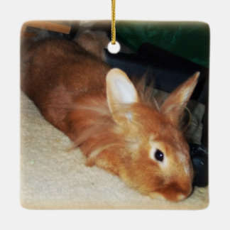 Disapproving Bunny Rabbit Ornament