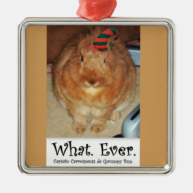 Disapproving Bunny Rabbit What Ever Ornament (Front)