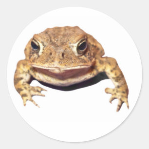 Disapproving Toad Classic Round Sticker
